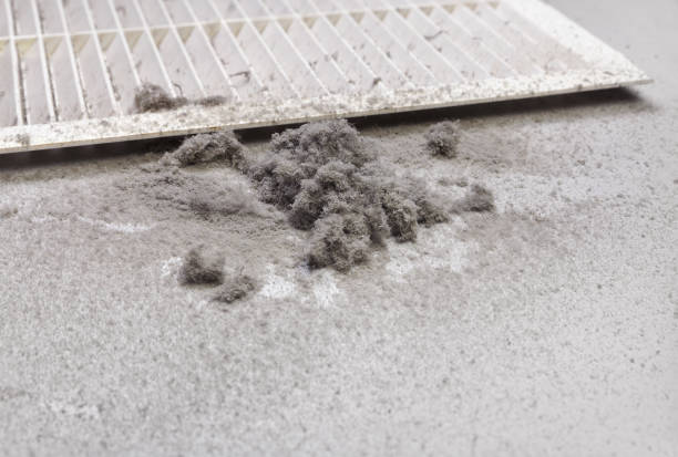 Best Residential Air Duct Cleaning  in Malakoff, TX